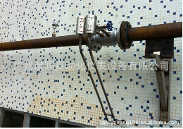 鍋爐主給水(shuǐ)平衡流量計(jì)